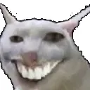 toothcat Discord Emoji