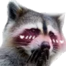 RacoonBlush