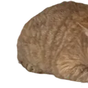 MrFresh1