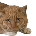 MrFresh2 MrFresh2
