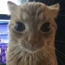 deathstare