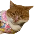 MrsDress2
