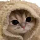 Hide