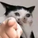 Youuuu