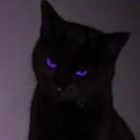generacija_black_cat Discord Emoji