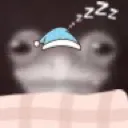 sleepyfrog