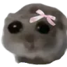 mousbow mousbow