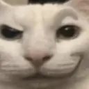 nyeheheh Discord Emoji