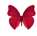 0_redbutterfly Discord Emoji