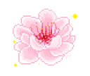 FlowerPink