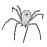 001spider