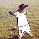 belligol
