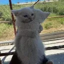 hug hug