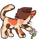 A calico kitten with brown and orange patches reaching out with one paw to touch a small white daisy.