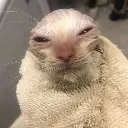 wrapped_up