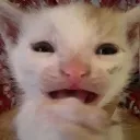 WAH