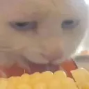 corny corny