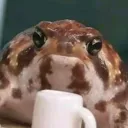 Froggo