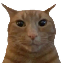 catstare custom emote from Adultcord 🧿