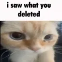 SawwhatYoudeletedG