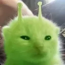 glorp