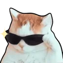 Cat Cool P2 U Discord Emoji