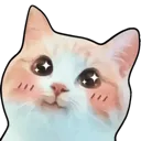 CatHappy_P2U Discord Emoji