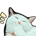 CatLaugh_P2U Discord Emoji