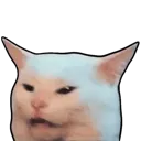 CatJudge_P2U Discord Emoji