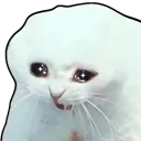 CatSad_P2U Discord Emoji