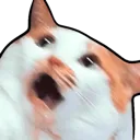 eaCatScream_P2U