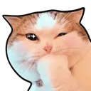 CatThink_P2U Discord Emoji