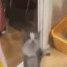 hihiheyhi