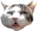 mrcloudeepy