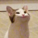 emoji_6 emoji_6