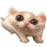 scrinko