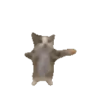 happiecat