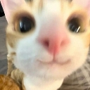 uwu Discord emoji