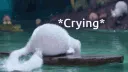 aBunMinjCry aBunMinjCry