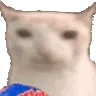 cat_eat_chips