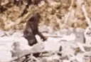 bigfootgif