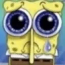 spongecry