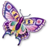 9_mariposa