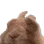 BunBun