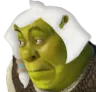 shrekmoth