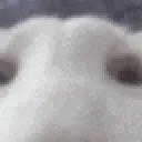 oig oig