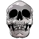 kills10000 kills10000