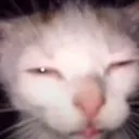 emoji_136
