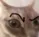 suscat