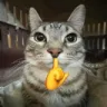 mymewleftme mymewleftme